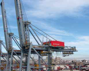 Montevideo wants to attract containerized export soya